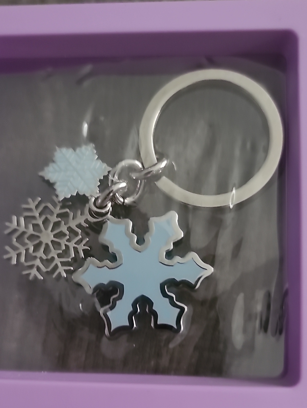 Coach Snowflake Keychain Light Blue